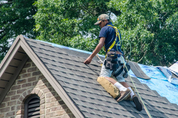 Best Roof Leak Repair  in Fincastle, TN